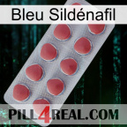 Bleu Sildénafil 18